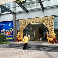 Hong Dieu