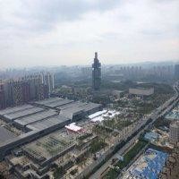金振兴