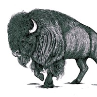 Stephen Moore
