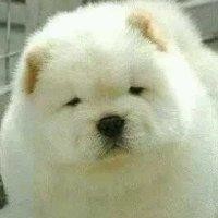 林炎光