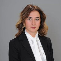 H.  Özlem Sezgin