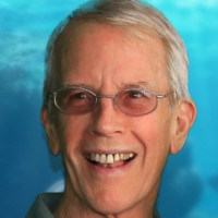 Terry Bingham