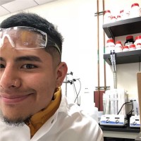 Irvin Ochoa Hernandez