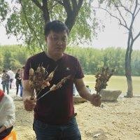 马洒力海