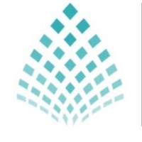 Adapt Agency Limited