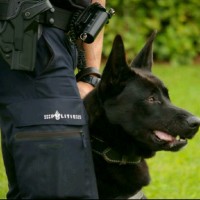 Jörgen R
