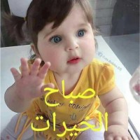 محمد الحربي