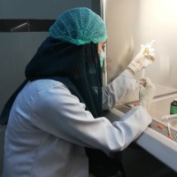 Rabia Shehzadi