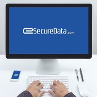 eSecureData Sales