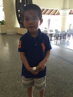 杨凯源