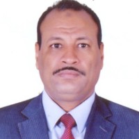 M. Hassaballah                D.Eng, M.Sc, B.Sc