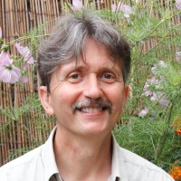 Massimo D'Alessandro