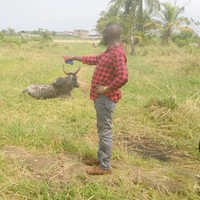 Ngeh Oliver Moh Degoh