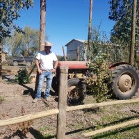 Carlos Gonzalez Carrasco