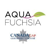 AquaFuchsia Foods