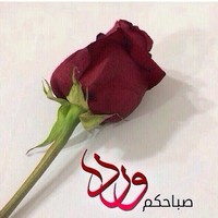 wafa sabri