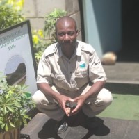 Oga Mutazo