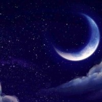 نور احمد محمد