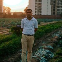 Omjee Mishra