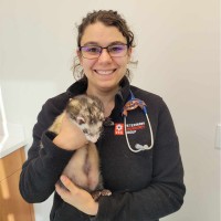 Marissa Moliviatis
