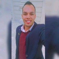 Mahmoud Abdel-Aziz