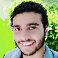 Ayman Sultan