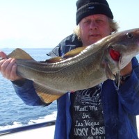 David Woolcombe