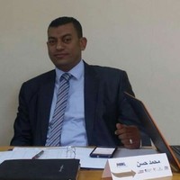 Mohamed Hassan