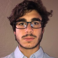 Diego Vizcay