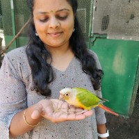 Vinodhini Gopinath
