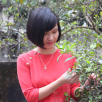 Linh Nguyen