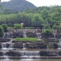 徐定权