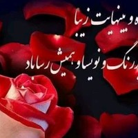 رضا عرب