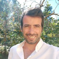 Pedro Filipe Lima