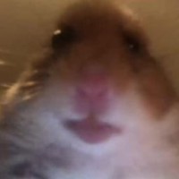 Arthur P