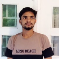 Tipu Biswas