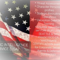 Domestic Intelligence Service