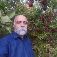 Mahmood Izadi