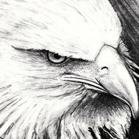 Black Eagle
