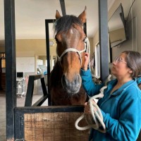 Alison Catalina Riquelme Silva