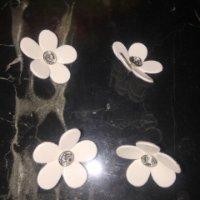 谢伟玲