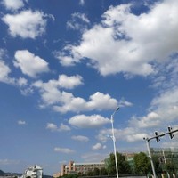 李鸿飞