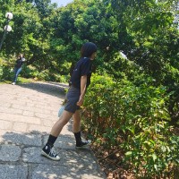 秦洋阳