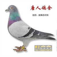 王开瑞