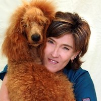 Terri Moehle