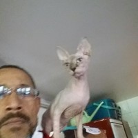 Adelino Do Rosario Silva