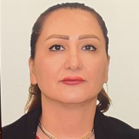 Sepideh Oveysifar