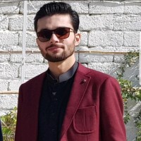 Hassan Ansari