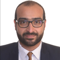 FADY RAMY GEORGE