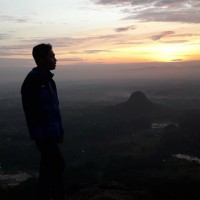 Surya Adi Prayogo